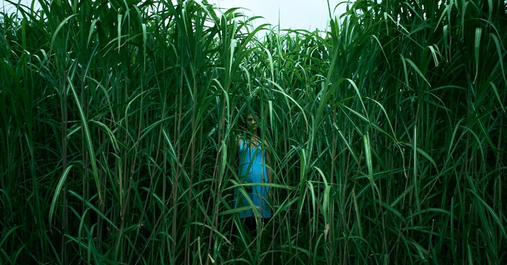 In the Tall film